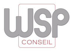 WSP Conseil | Cabinet recrutement et accompagnement individuel Lyon